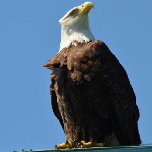 Mark Balderrama-Healthy Wealthy & Wise